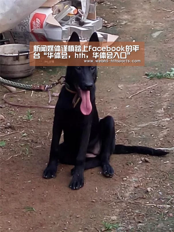 新闻媒体谨慎踏上Facebook的平台“华体会,hth,华体会入口”(图3) 华体会,hth,华体会入口