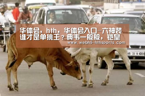 华体会,hth,华体会入口-六神装谁才是单挑王?典韦一般般,铠皇一刀致命,她让你不能近身!(图3) 华体会,hth,华体会入口