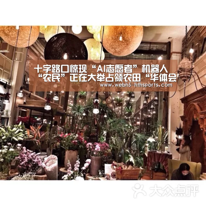 十字路口惊现“AI志愿者”机器人“农民”正在大举占领农田“华体会,hth,华体会入口”(图1) 华体会,hth,华体会入口