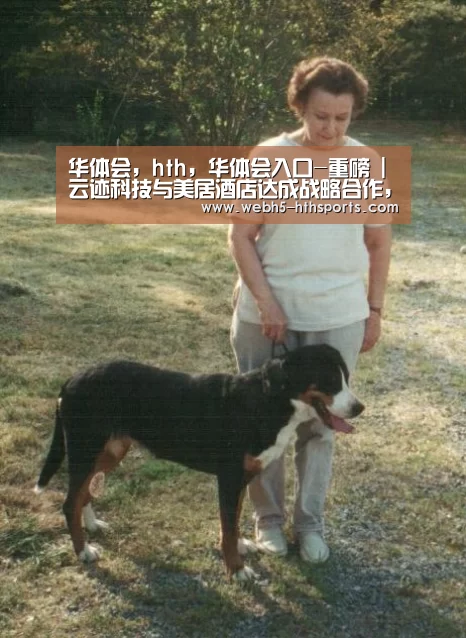 华体会,hth,华体会入口-重磅 | 云迹科技与美居酒店达成战略合作,加速酒店智能化升级(图1) 华体会,hth,华体会入口