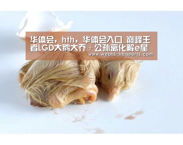 华体会,hth,华体会入口_巅峰王者LGD大鹅大乔+公孙离化解e星连控,君诏一打五反杀一人(图3) 华体会,hth,华体会入口