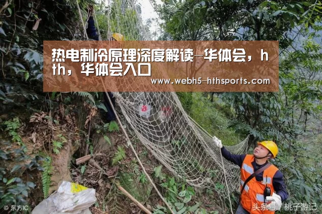 热电制冷原理深度解读-华体会,hth,华体会入口(图3) 华体会,hth,华体会入口